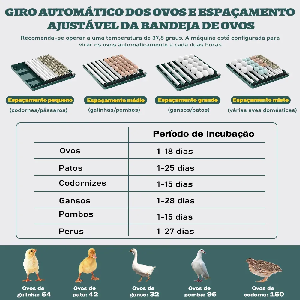 Chocadeira Incubadora Automática Tanque Água 130 Ovos